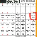 11/8はSaito Myuさんのピアノ弾き語りです。